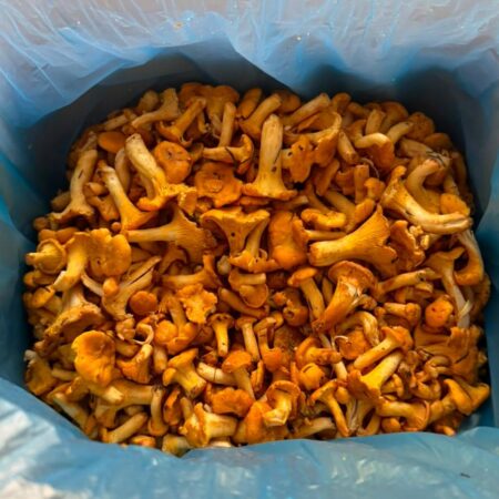 Kurka 1kg